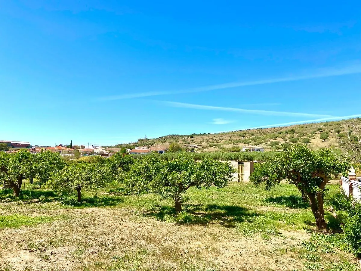 Villa Fernando By Solymar Holiday Malaga